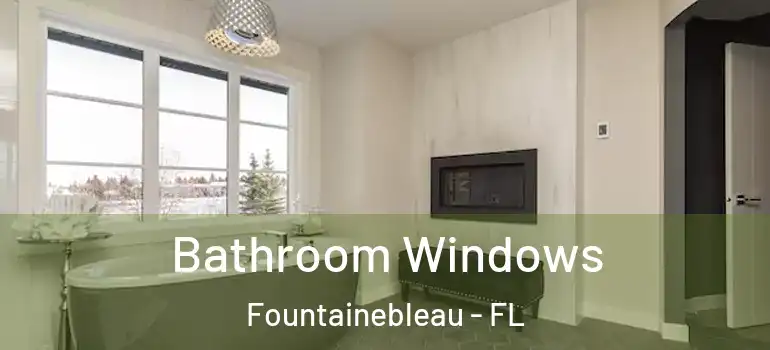  Bathroom Windows Fountainebleau - FL