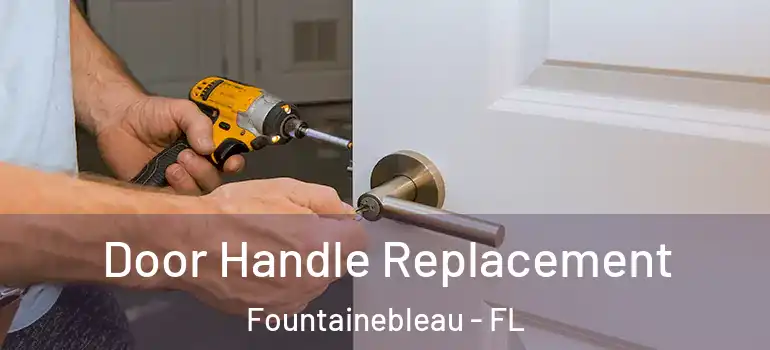  Door Handle Replacement Fountainebleau - FL