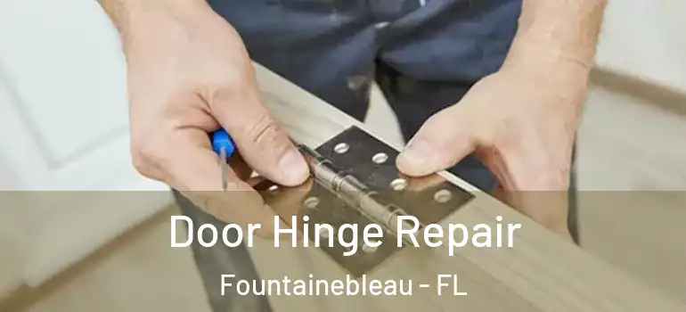  Door Hinge Repair Fountainebleau - FL