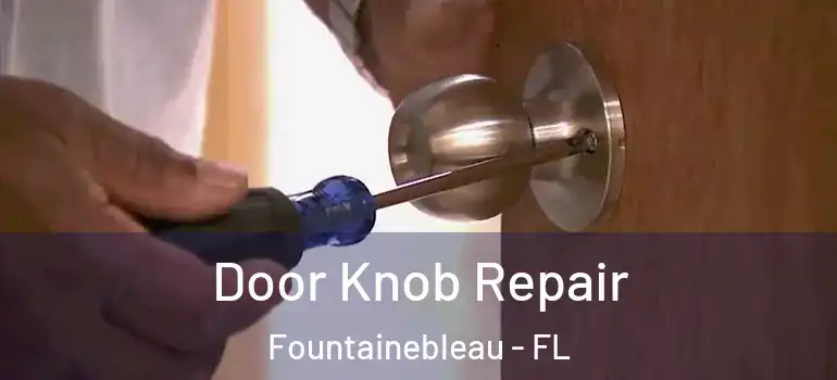  Door Knob Repair Fountainebleau - FL