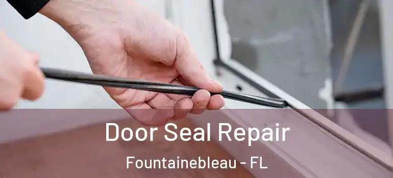  Door Seal Repair Fountainebleau - FL