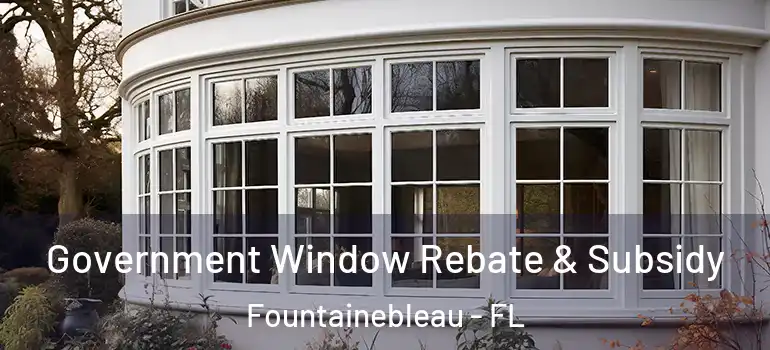  Government Window Rebate & Subsidy Fountainebleau - FL