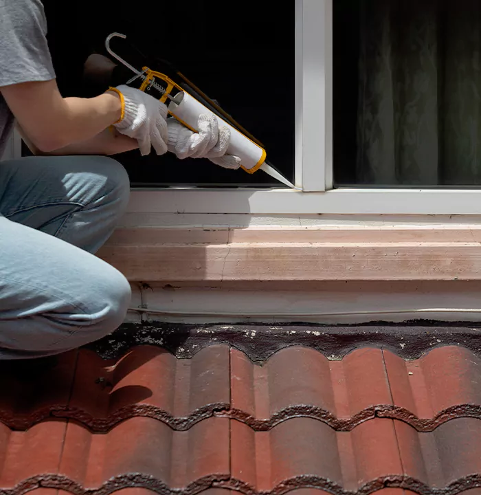 Roof Window Services in Fountainebleau, Florida