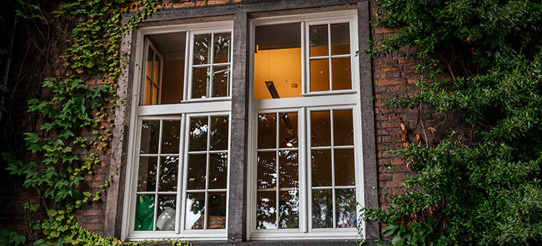 Energy Efficient Wood Windows in Fountainebleau, FL