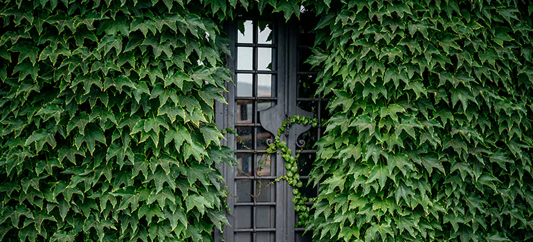 Garden Gate Repair in Fountainebleau, FL