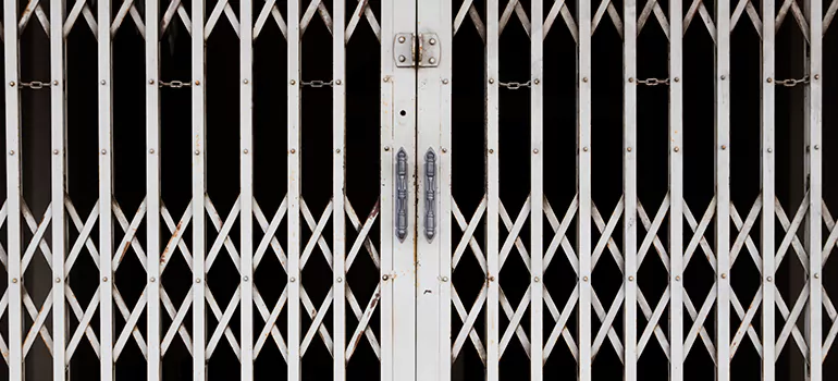 Steel Line Garage Door Repairs in Fountainebleau, FL