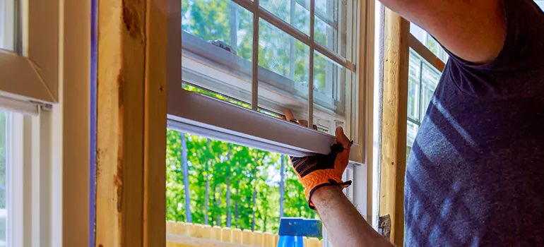 Decorative Window Film Services in Fountainebleau, FL