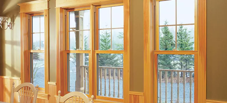 Government Incentives For Replacement Windows in Fountainebleau, FL