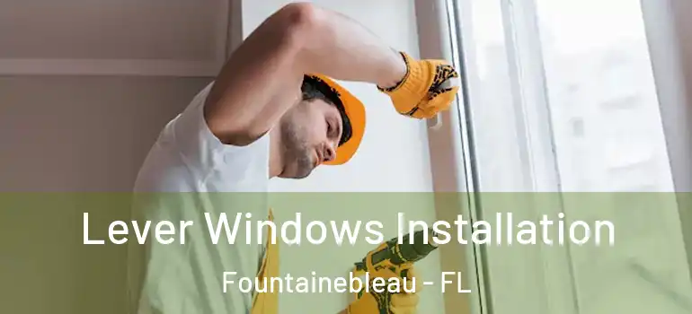  Lever Windows Installation Fountainebleau - FL