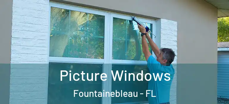  Picture Windows Fountainebleau - FL