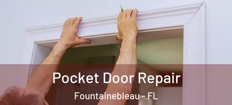  Pocket Door Repair Fountainebleau - FL