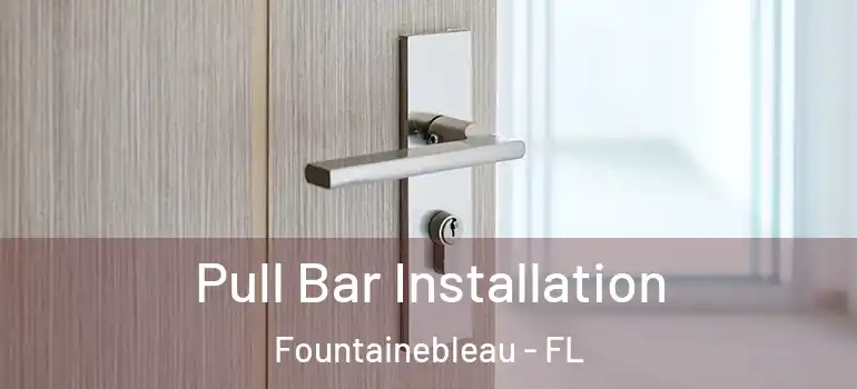  Pull Bar Installation Fountainebleau - FL