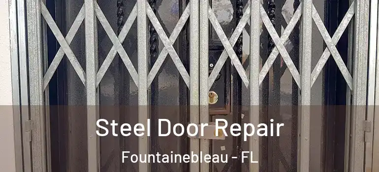  Steel Door Repair Fountainebleau - FL