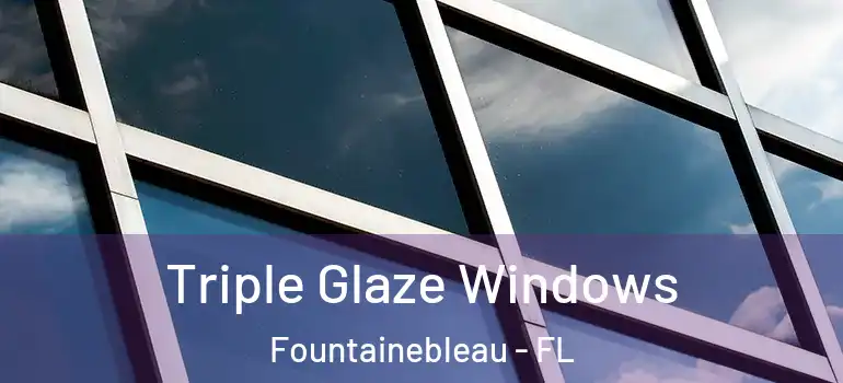  Triple Glaze Windows Fountainebleau - FL