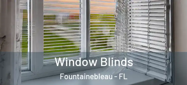  Window Blinds Fountainebleau - FL