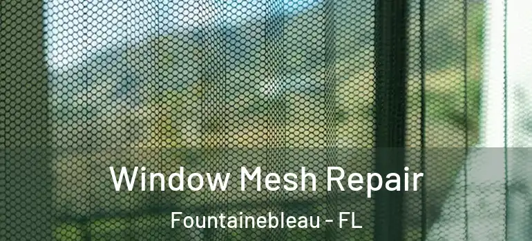  Window Mesh Repair Fountainebleau - FL