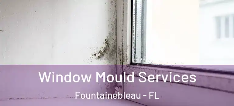 Window Mould Services Fountainebleau - FL